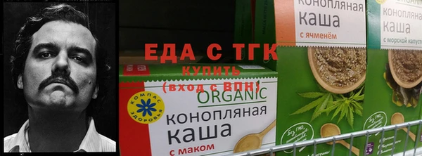 наркотики Богданович