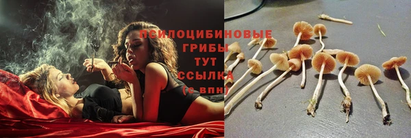 наркотики Богданович