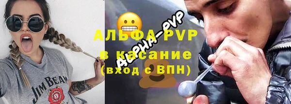 СК Богородицк