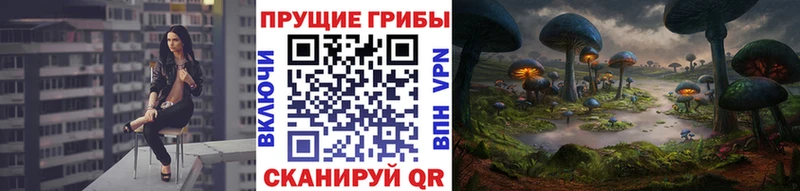 Галлюциногенные грибы Psilocybine cubensis  Юхнов 